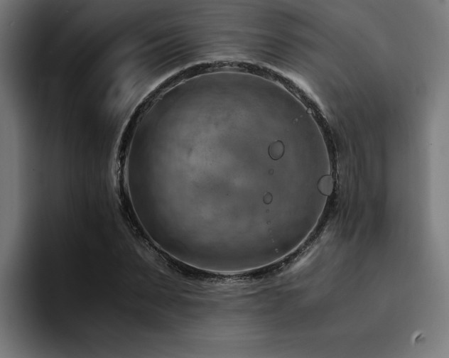 X0000094450879200711081302