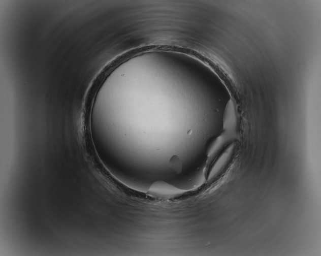 X0000094450880200711081302