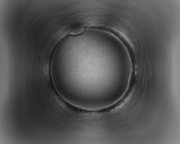 X0000094450881200711081302