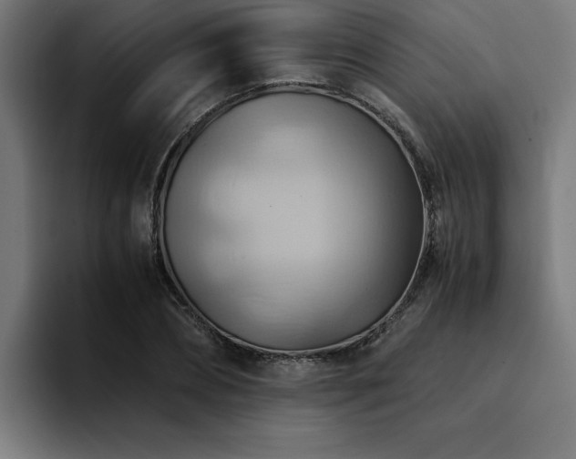 X0000094450882200711081302