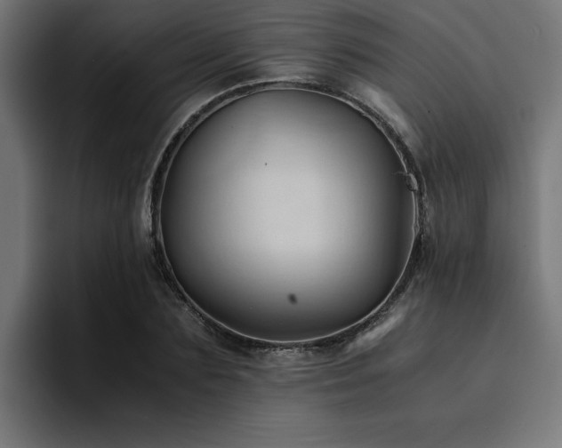 X0000094450883200711081302