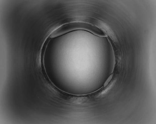 X0000094450884200711081302