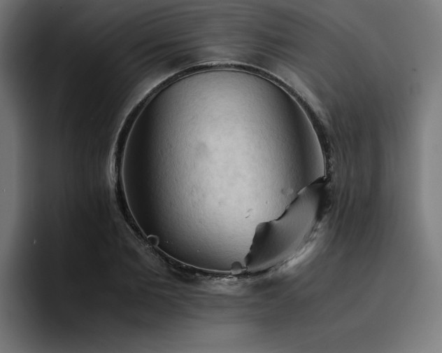 X0000094450885200711081302