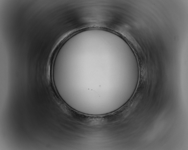 X0000094450886200711081302