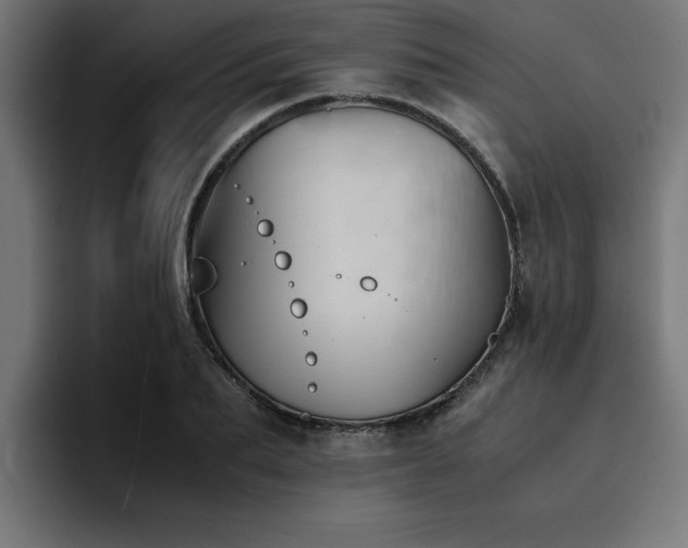 X0000094450887200711081302