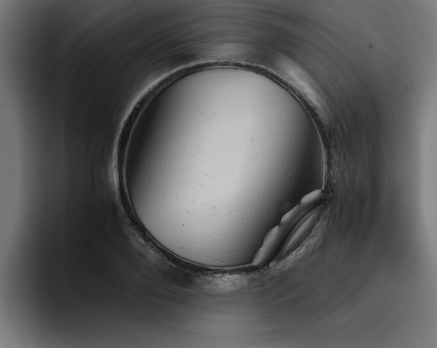 X0000094450888200711081302
