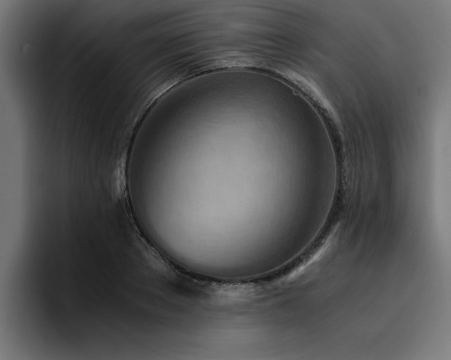 X0000094450889200711081302
