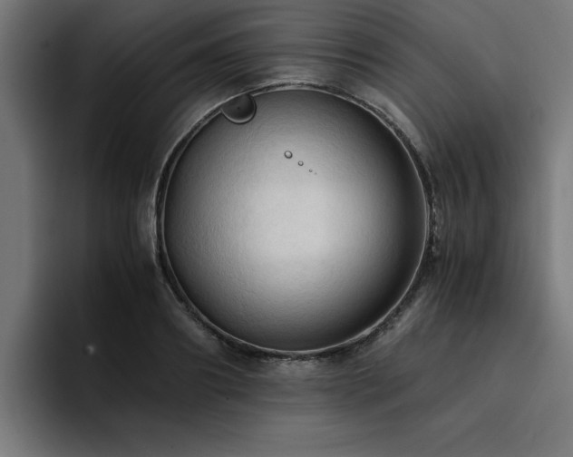 X0000094450890200711081302