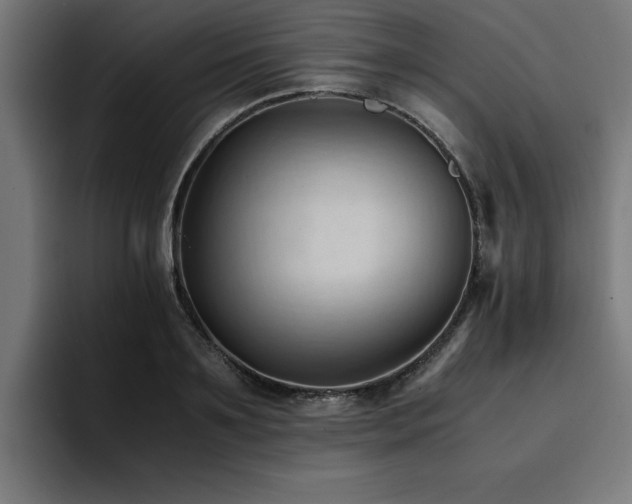 X0000094450891200711081302