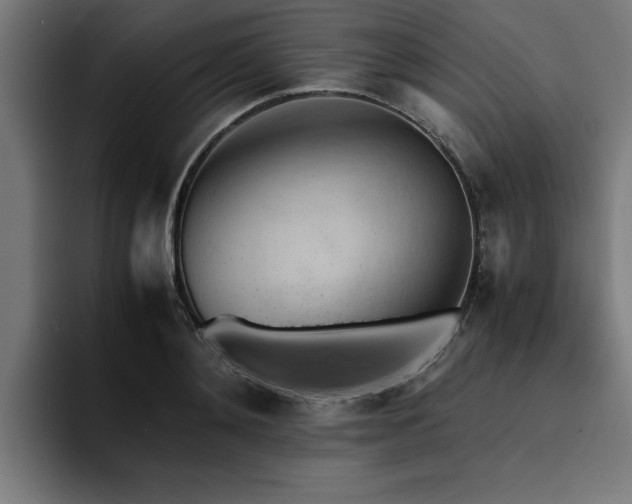 X0000094450892200711081302