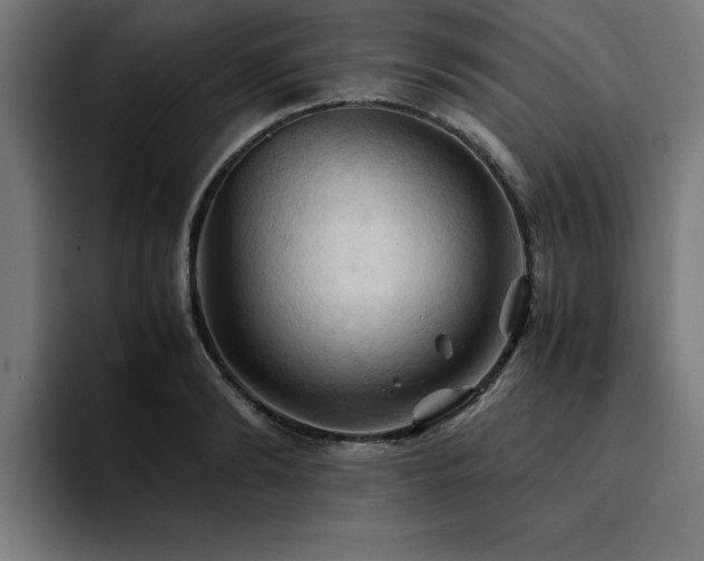 X0000094450894200711081302