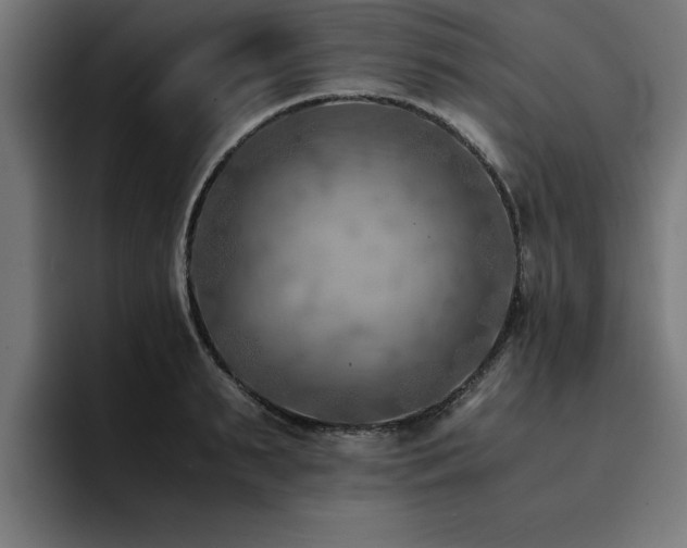 X0000094450895200711081302