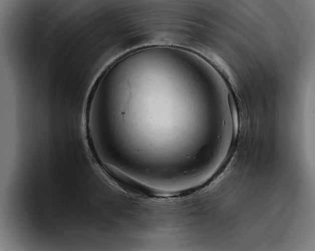 X0000094450896200711081302