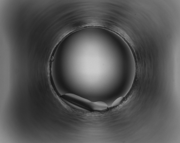 X0000094450898200711081302