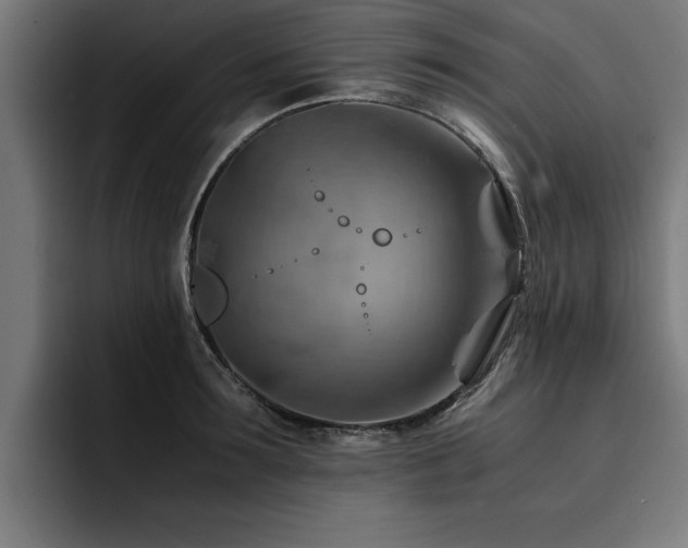 X0000094450899200711081302