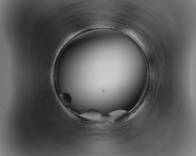 X0000094450901200711081302