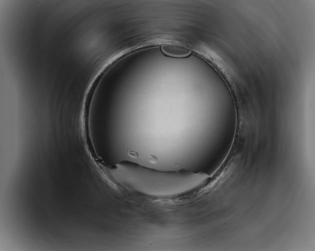 X0000094450902200711081302