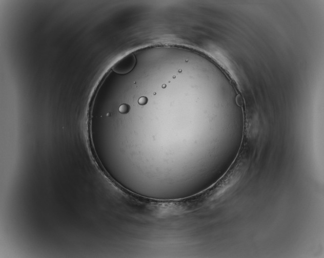 X0000094450903200711081302