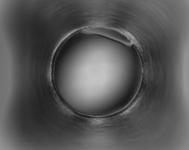 X0000094450904200711081302