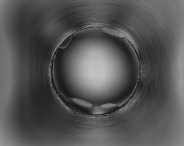 X0000094450906200711081302