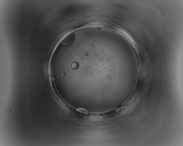 X0000094450907200711081302