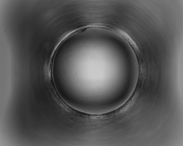 X0000094450908200711081302