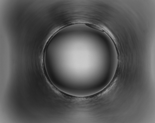 X0000094450909200711081302