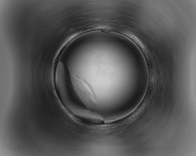 X0000094450910200711081302