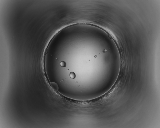 X0000094450911200711081302