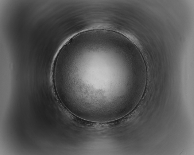 X0000094450912200711081302