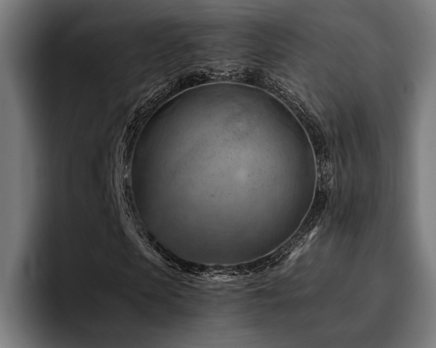 X0000094450913200711081301