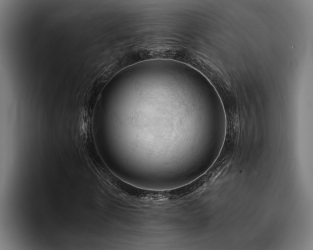 X0000094450914200711081301