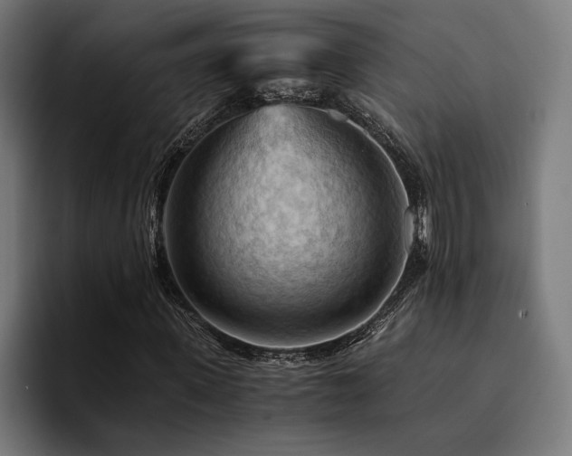 X0000094450915200711081301