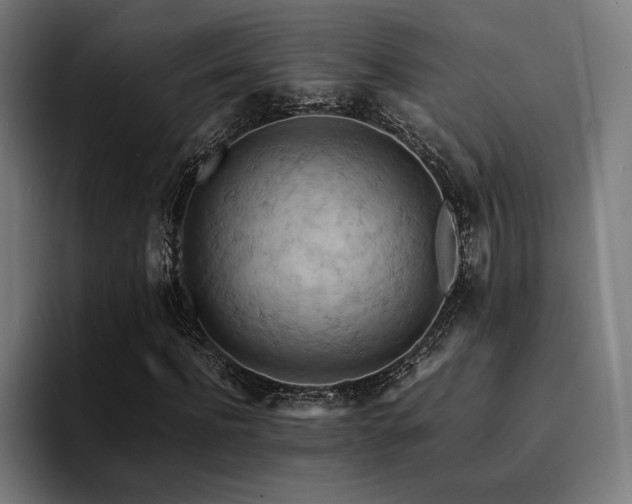 X0000094450916200711081301