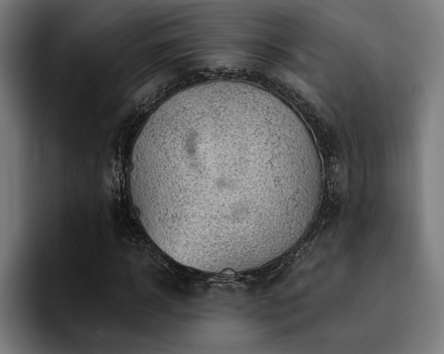 X0000094450918200711081301