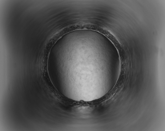 X0000094450919200711081301