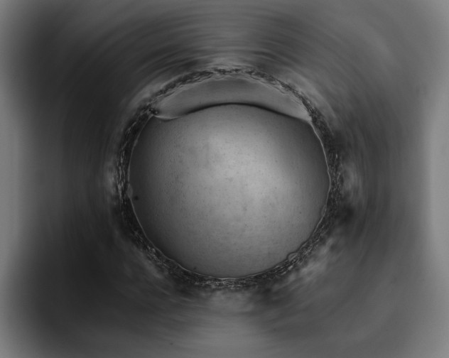 X0000094450920200711081301