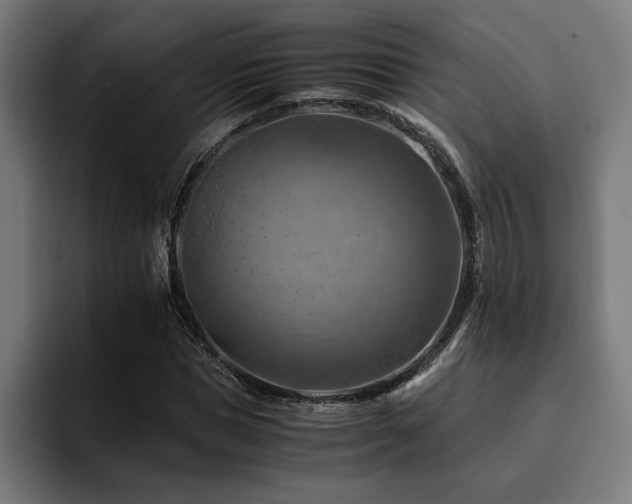 X0000094450921200711081301