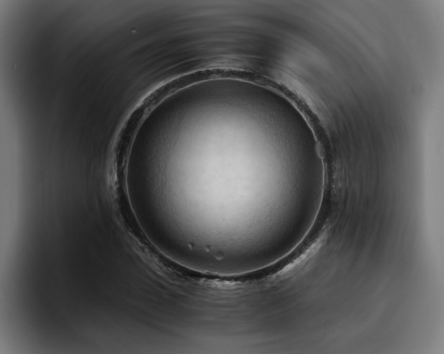 X0000094450923200711081301