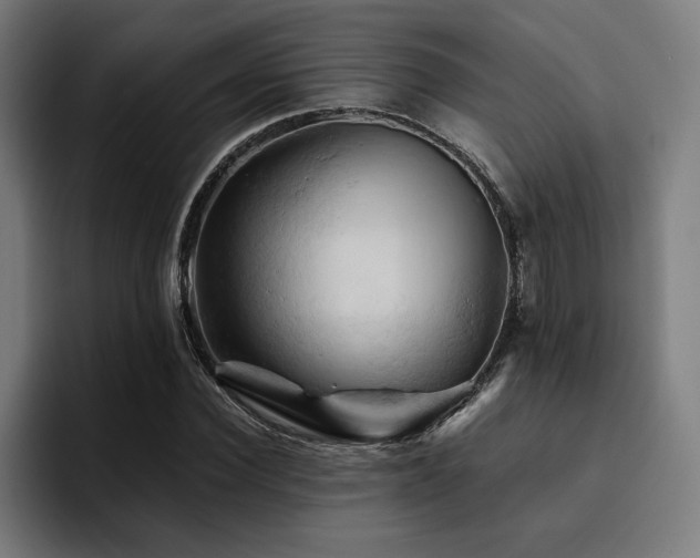 X0000094450924200711081301