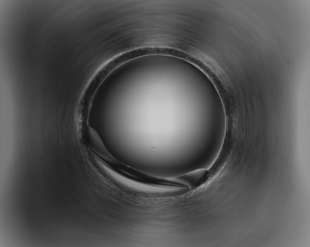 X0000094450926200711081301