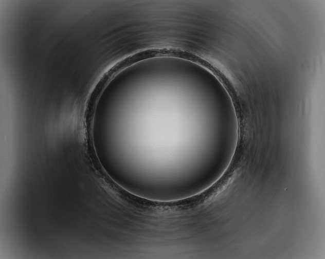 X0000094450927200711081302