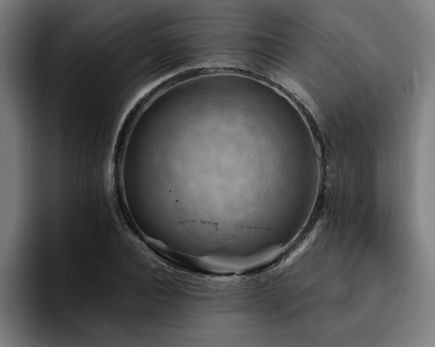 X0000094450928200711081302