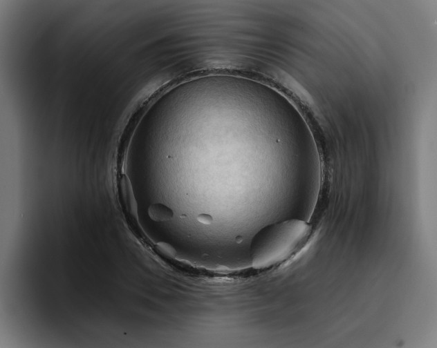 X0000094450930200711081302