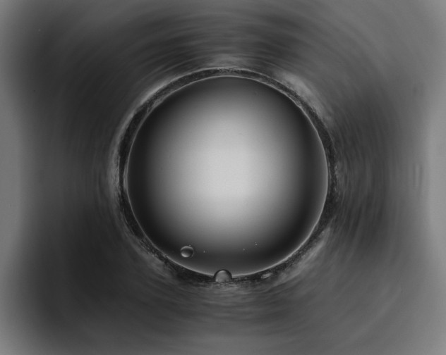 X0000094450931200711081302