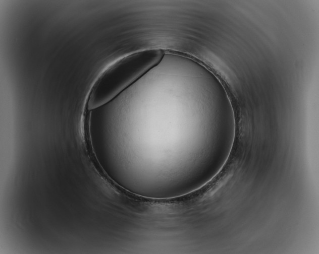 X0000094450932200711081302