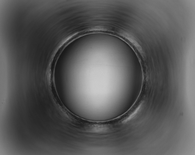 X0000094450933200711081302
