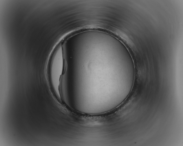 X0000094450934200711081302