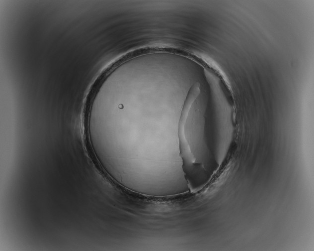 X0000094450935200711081302