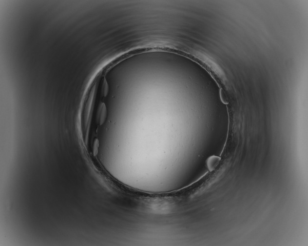 X0000094450936200711081302